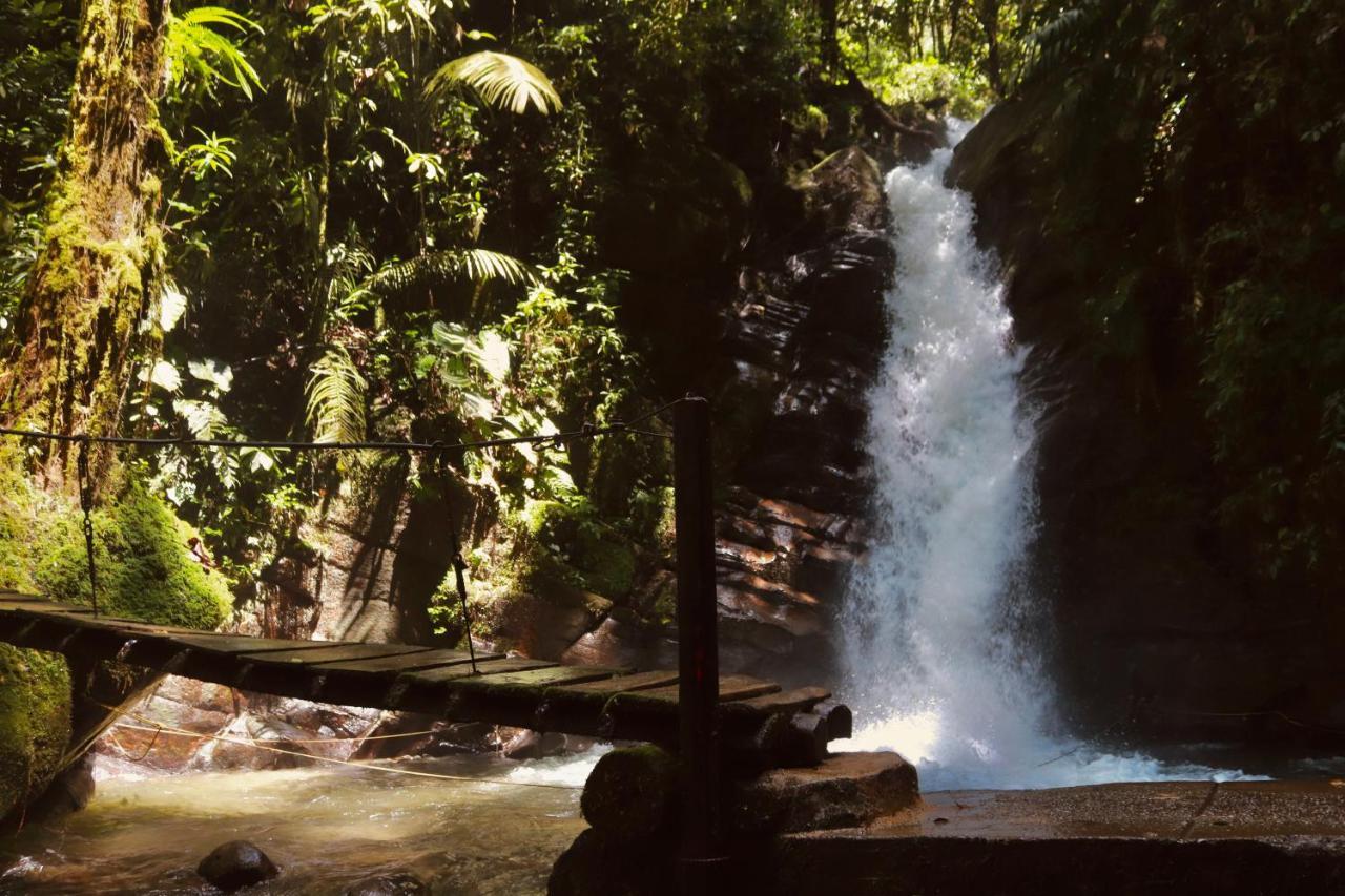 La Cabana Ecohotel - Valle Del Cocora Σαλέντο Εξωτερικό φωτογραφία