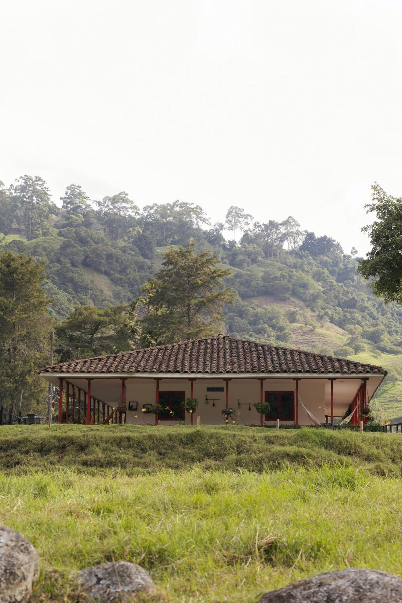 La Cabana Ecohotel - Valle Del Cocora Σαλέντο Εξωτερικό φωτογραφία