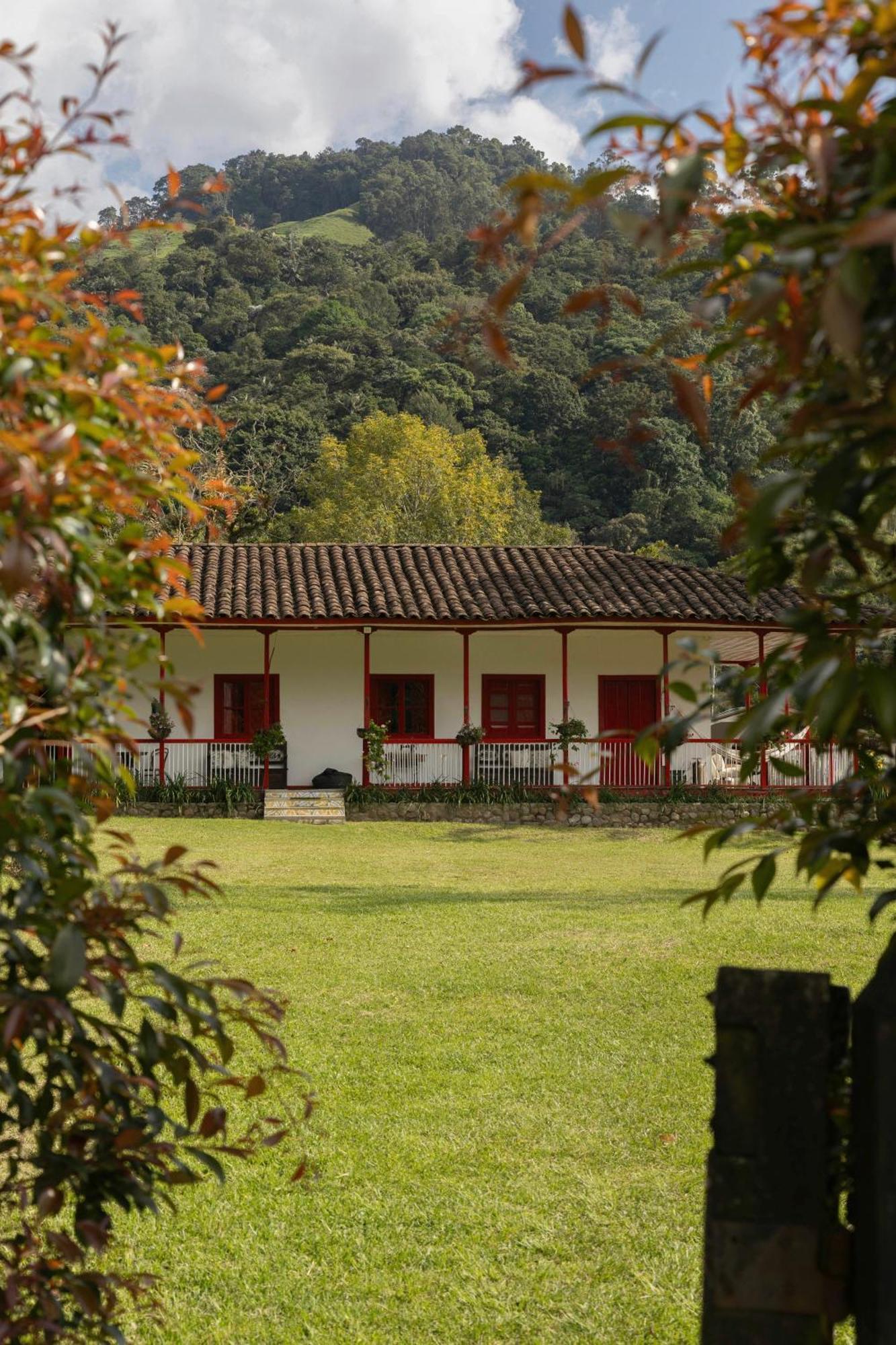 La Cabana Ecohotel - Valle Del Cocora Σαλέντο Εξωτερικό φωτογραφία