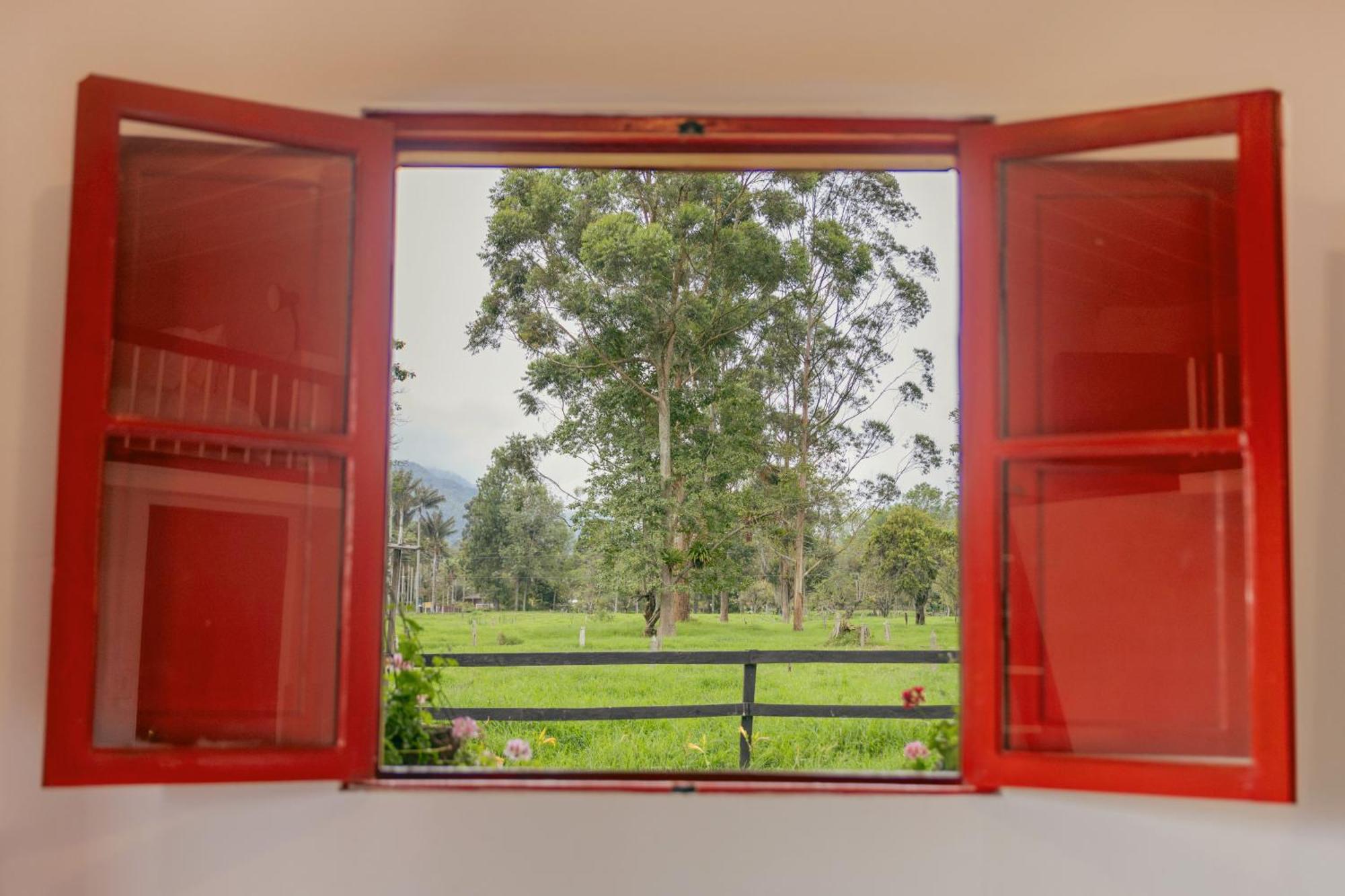 La Cabana Ecohotel - Valle Del Cocora Σαλέντο Δωμάτιο φωτογραφία
